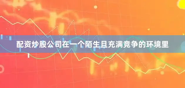 配资炒股公司在一个陌生且充满竞争的环境里
