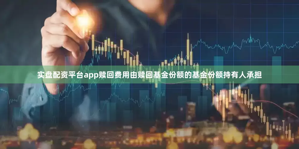 实盘配资平台app赎回费用由赎回基金份额的基金份额持有人承担