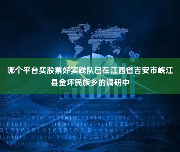 哪个平台买股票好实践队已在江西省吉安市峡江县金坪民族乡的调研中
