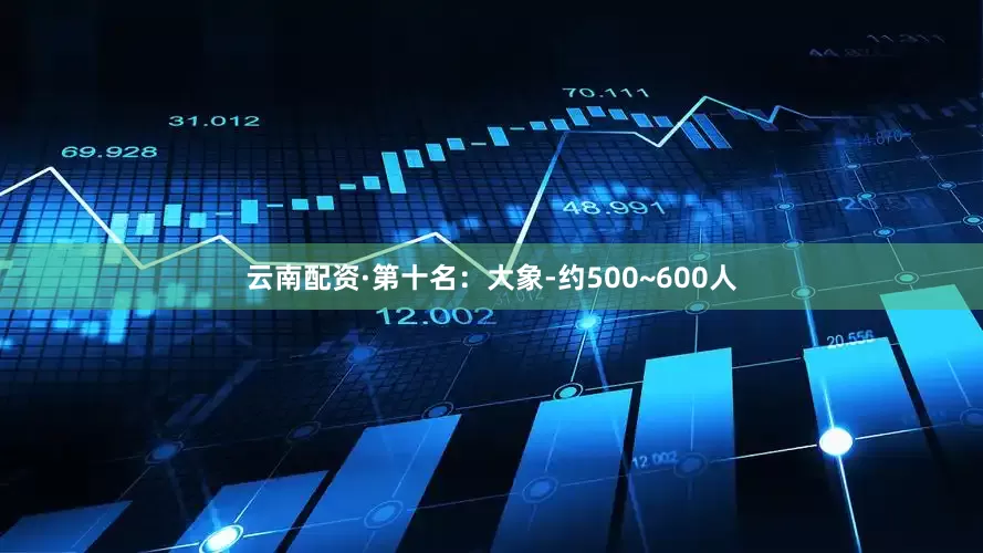 云南配资·第十名:大象-约500~600人
