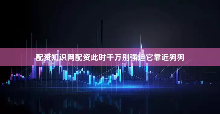 配资知识网配资此时千万别强迫它靠近狗狗